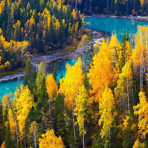 Meet your Posher, Ruth